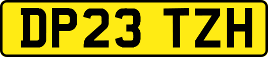 DP23TZH