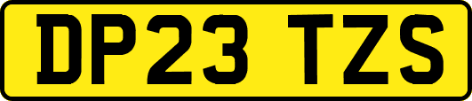 DP23TZS