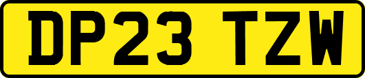DP23TZW