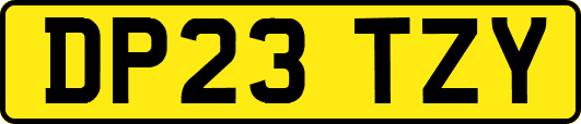 DP23TZY