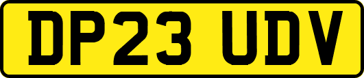 DP23UDV