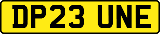 DP23UNE