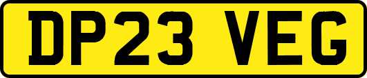 DP23VEG