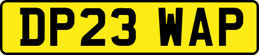 DP23WAP