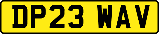 DP23WAV
