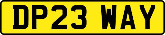 DP23WAY