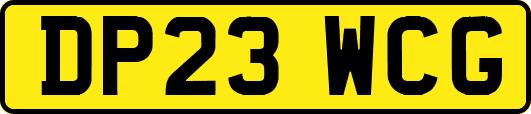 DP23WCG