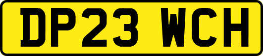 DP23WCH