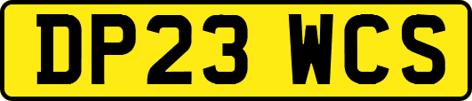 DP23WCS