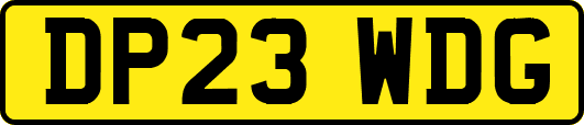 DP23WDG