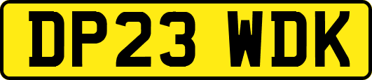 DP23WDK
