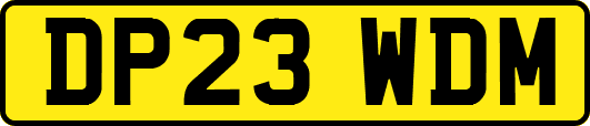 DP23WDM