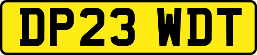 DP23WDT