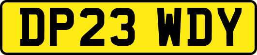 DP23WDY