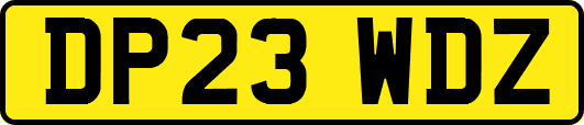 DP23WDZ