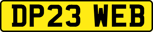 DP23WEB