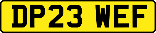 DP23WEF