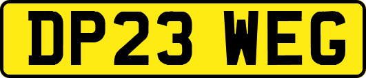 DP23WEG