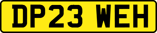 DP23WEH
