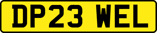 DP23WEL