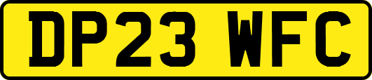 DP23WFC