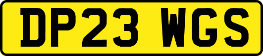 DP23WGS