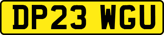 DP23WGU