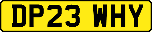 DP23WHY
