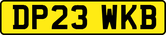 DP23WKB