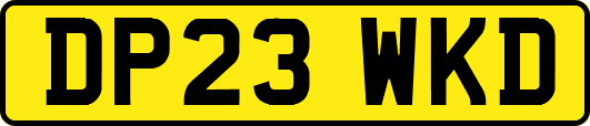DP23WKD
