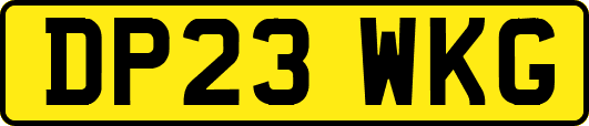 DP23WKG