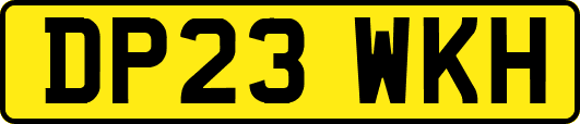 DP23WKH