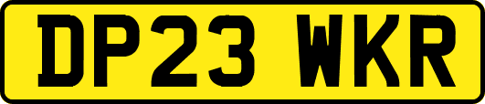DP23WKR