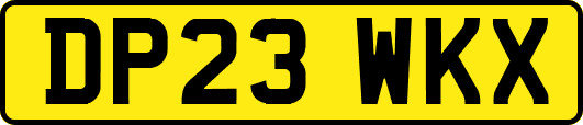 DP23WKX