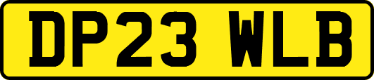DP23WLB