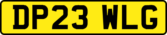 DP23WLG