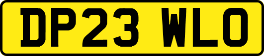 DP23WLO