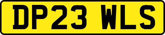 DP23WLS