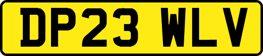 DP23WLV