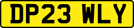 DP23WLY