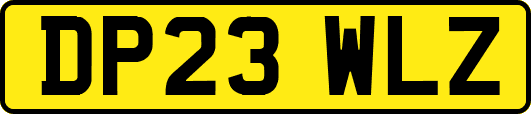 DP23WLZ