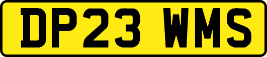 DP23WMS