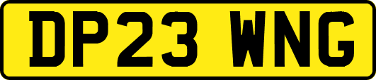 DP23WNG
