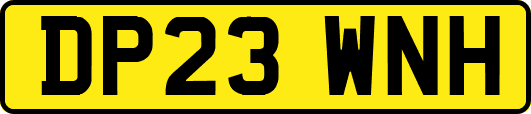 DP23WNH