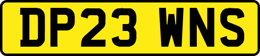 DP23WNS