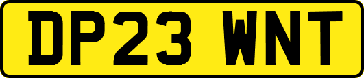 DP23WNT