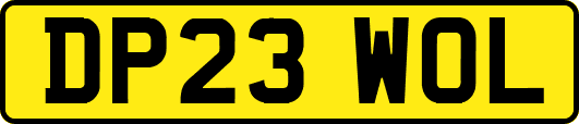 DP23WOL