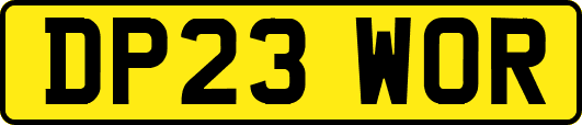 DP23WOR
