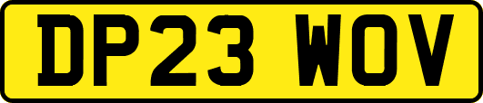 DP23WOV