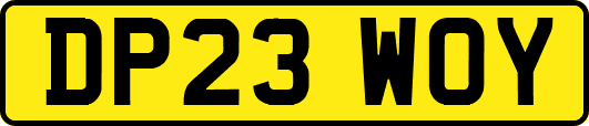 DP23WOY